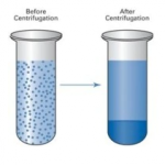 Pellet Centrifuge : What Is A Pellet In Centrifuge?